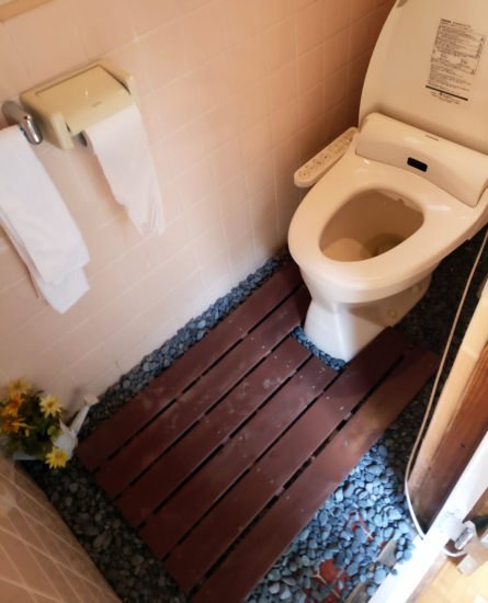 Room with a toilet