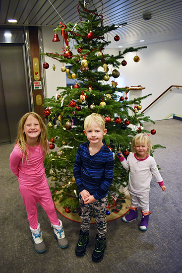Christmas Tree on the Hurtigruten Cruise