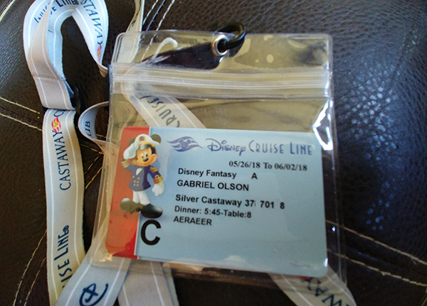 Disney Cruise Navigator, disney cruise, bible, full list of activities, everything you need, key to the world, creating family memories, traveling with kids, family travel, diapersonaplane, diapers on a plane