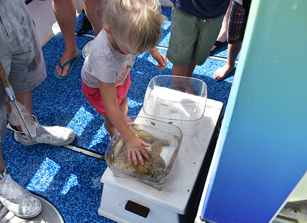 Time and Tide Tours, Cape Canaveral, Florida, Banana River, Dolphins in the wild, creating family memories, family travel, traveling with kids