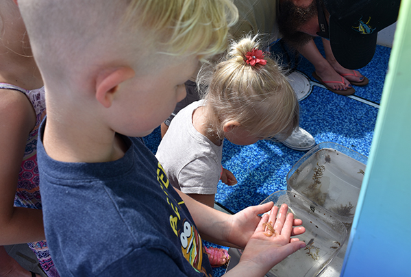 Time and Tide Tours, Cape Canaveral, Florida, Banana River, Dolphins in the wild, creating family memories, family travel, traveling with kids