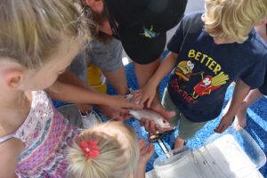 Time and Tide Tours, Cape Canaveral, Florida, Banana River, Dolphins in the wild, creating family memories, family travel, traveling with kids