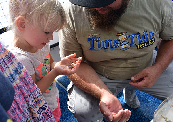 Time and Tide Tours, Cape Canaveral, Florida, Banana River, Dolphins in the wild, creating family memories, family travel, traveling with kids