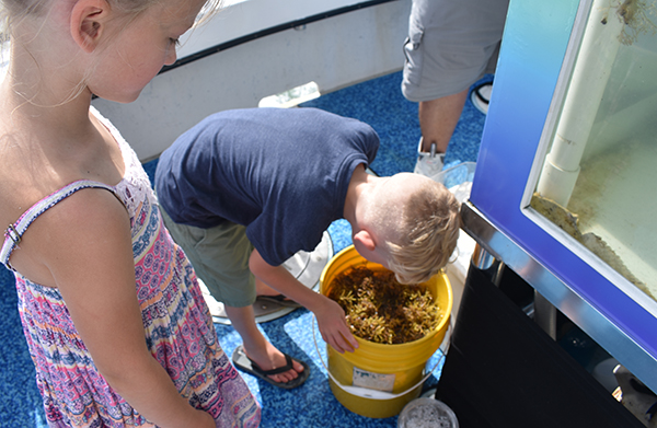Time and Tide Tours, Cape Canaveral, Florida, Banana River, Dolphins in the wild, creating family memories, family travel, traveling with kids