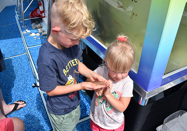 Time and Tide Tours, Cape Canaveral, Florida, Banana River, Dolphins in the wild, creating family memories, family travel, traveling with kids