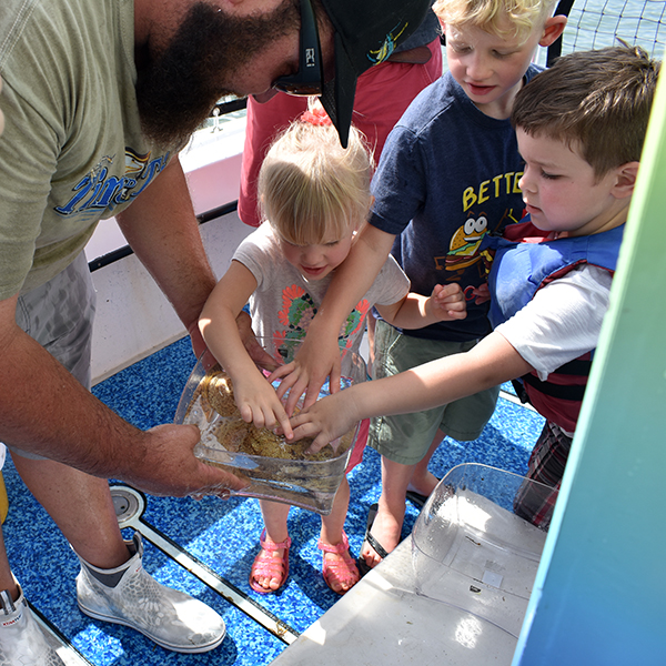 Time and Tide Tours, Cape Canaveral, Florida, Banana River, Dolphins in the wild, creating family memories, family travel, traveling with kids