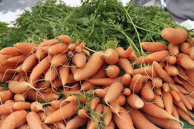 carrots bulk