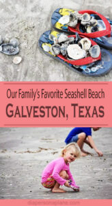 Seashell Beach, Galveston, Texas, Conches, Scallops, Littlenecks, Steamers, Sand, Water, Beach, Swimming, Seawall Blvd., Gulf of Mexico, Diapersonaplane, diapers on a plane, creating family memories, misadventures traveling standby, traveling with kids, family travel