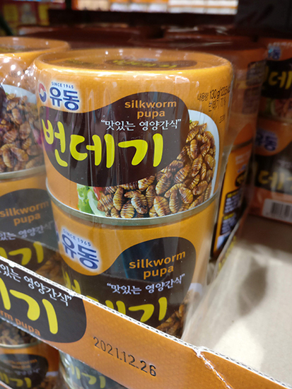 Silkworm pupa at Costco in Korea