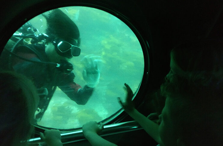 Exploring Submarines on Jeju Island with Kids