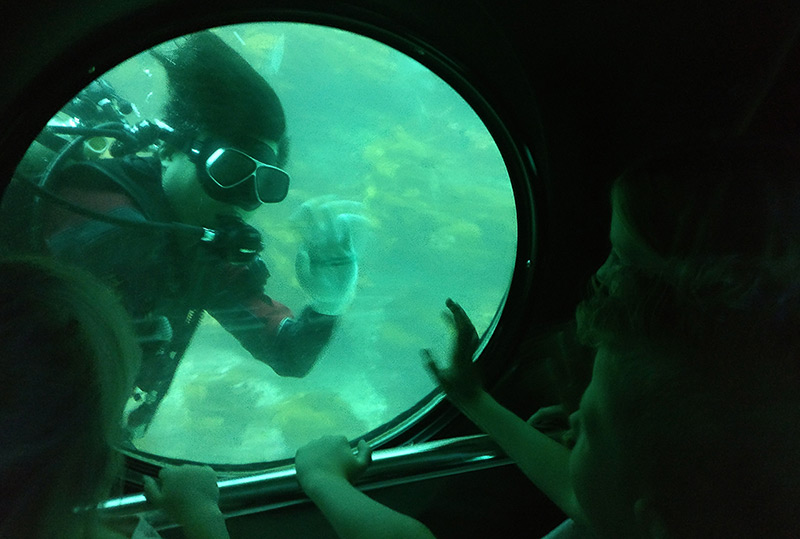 Exploring Submarines on Jeju Island with Kids