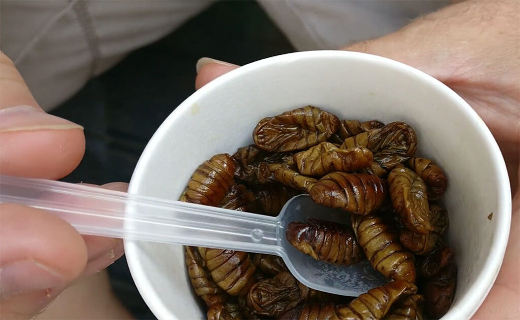 Eating Bugs in South Korea Beondegi Namdaemun Market Seoul Korea