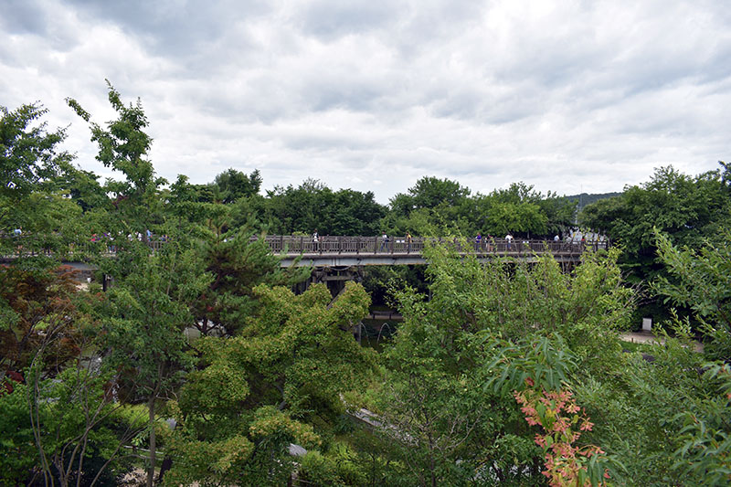 Freedom Bridge at DMZ South Korea