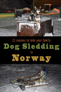 Dog Sledding Pin
