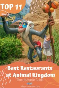 Ultimate Guide to the Top 11 Best Restaurants at Animal Kingdom  