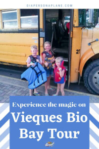 What Happens When you Witness Magic on Vieques Bio Bay Tour